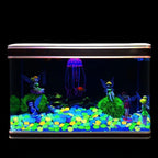 GlowPebbles™ Luminous Stones