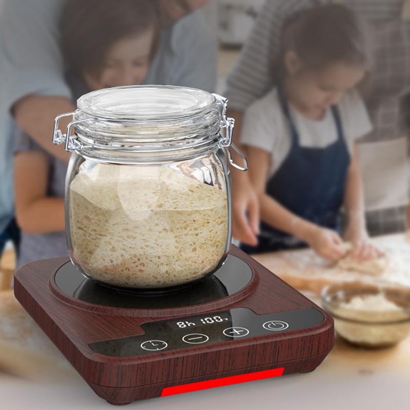 Digital Yeast Fermentation Thermostat