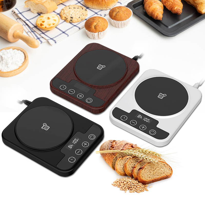 Digital Yeast Fermentation Thermostat